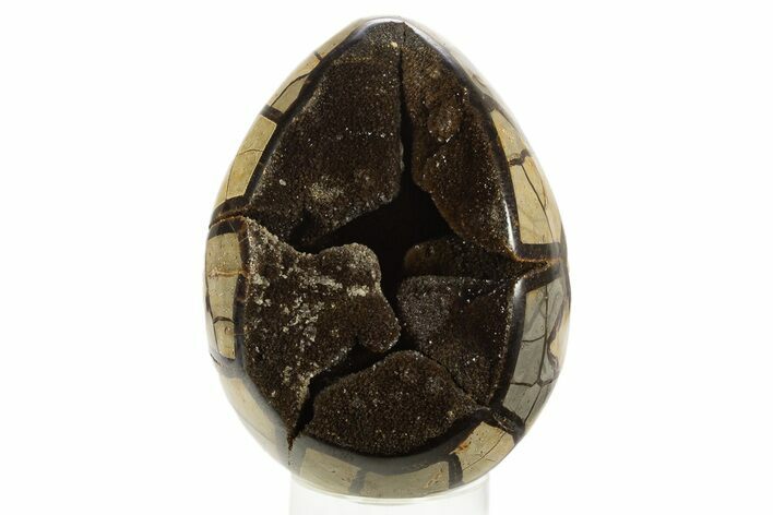 Septarian Dragon Egg Geode - Black Crystals #323470